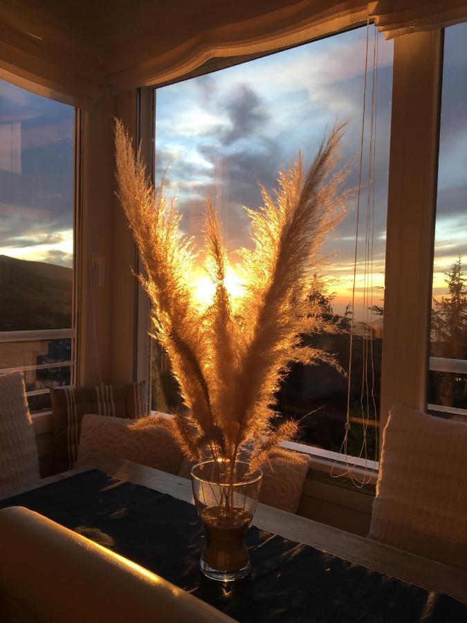Sierra Nevada Lejlighed Eksteriør billede